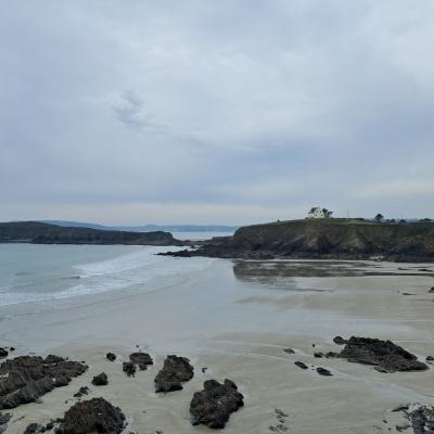 dimanche 16 février 2025 Crozon
