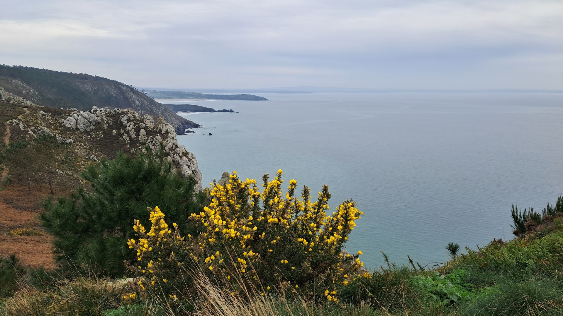 dimanche 16 février 2025 Crozon