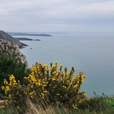 dimanche 16 février 2025 Crozon