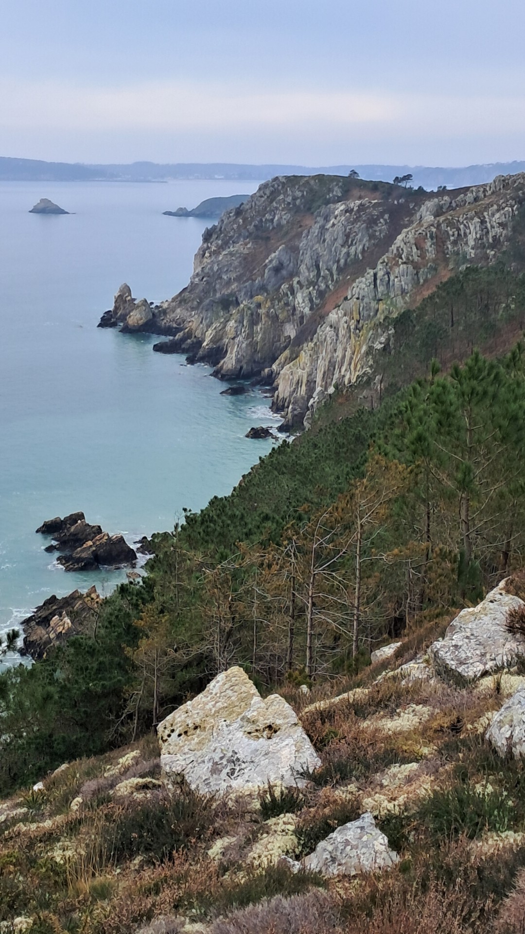 dimanche 16 février 2025 Crozon
