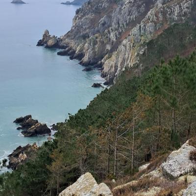 dimanche 16 février 2025 Crozon