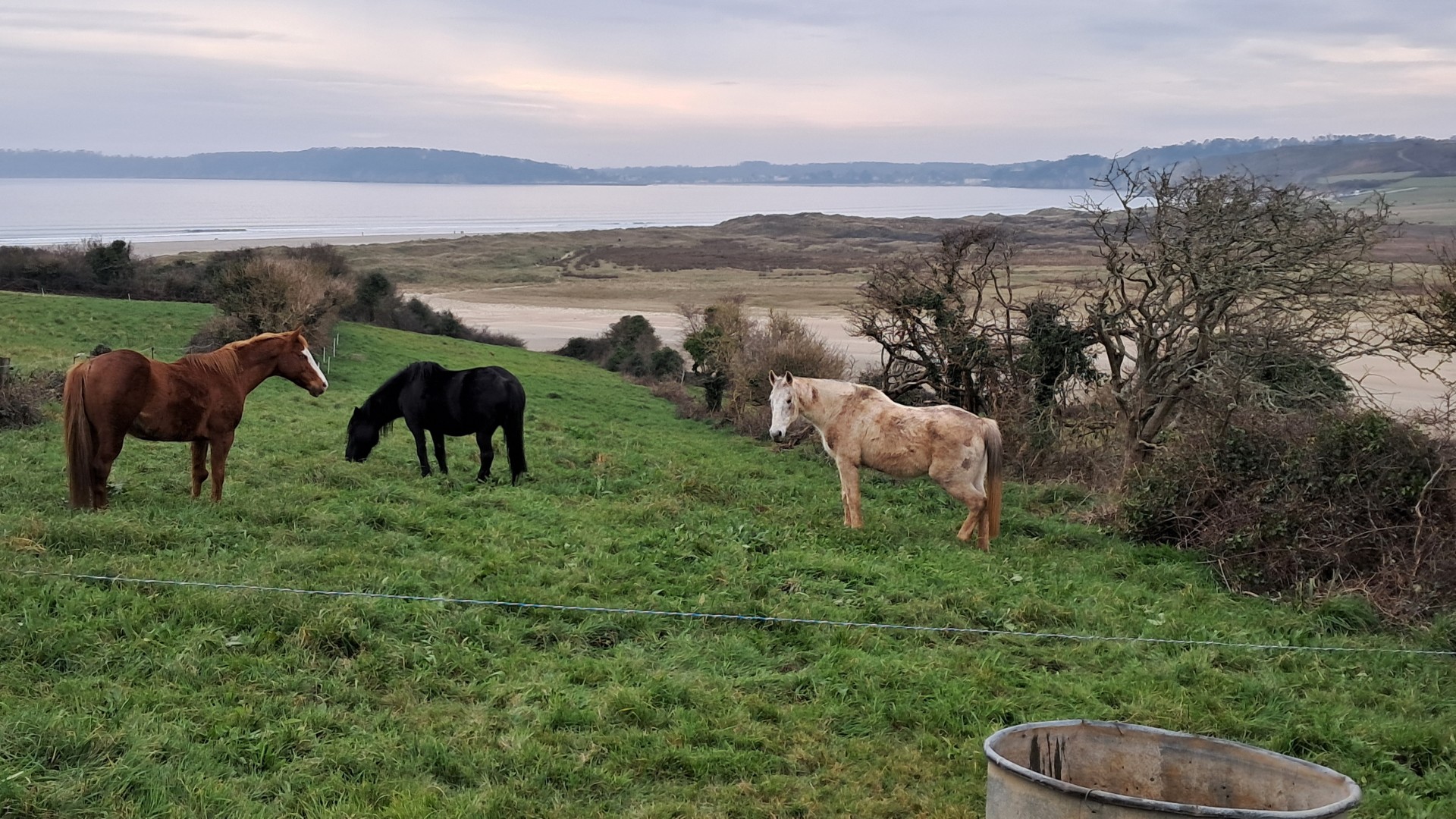 dimanche 16 février 2025 Crozon