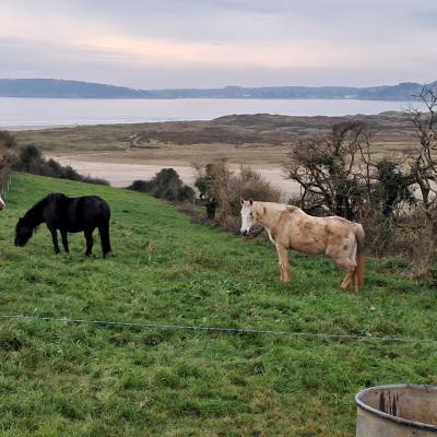dimanche 16 février 2025 Crozon
