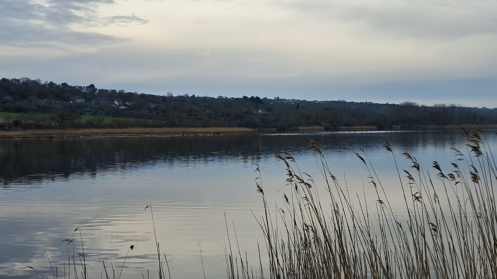 dimanche 16 février 2025 Crozon