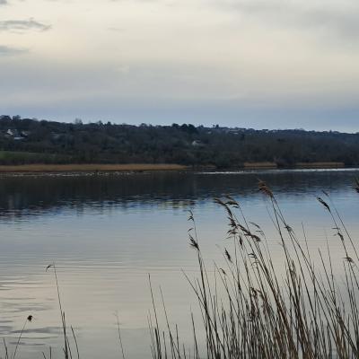 dimanche 16 février 2025 Crozon