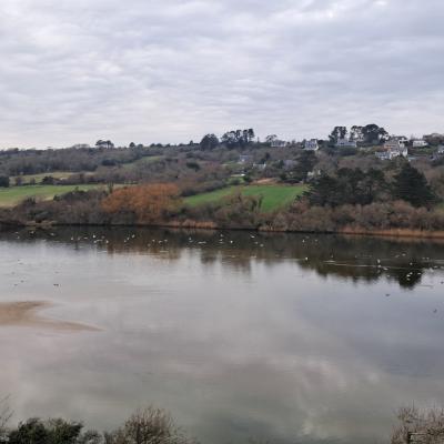 dimanche 16 février 2025 Crozon