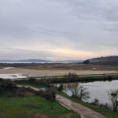dimanche 16 février 2025 Crozon