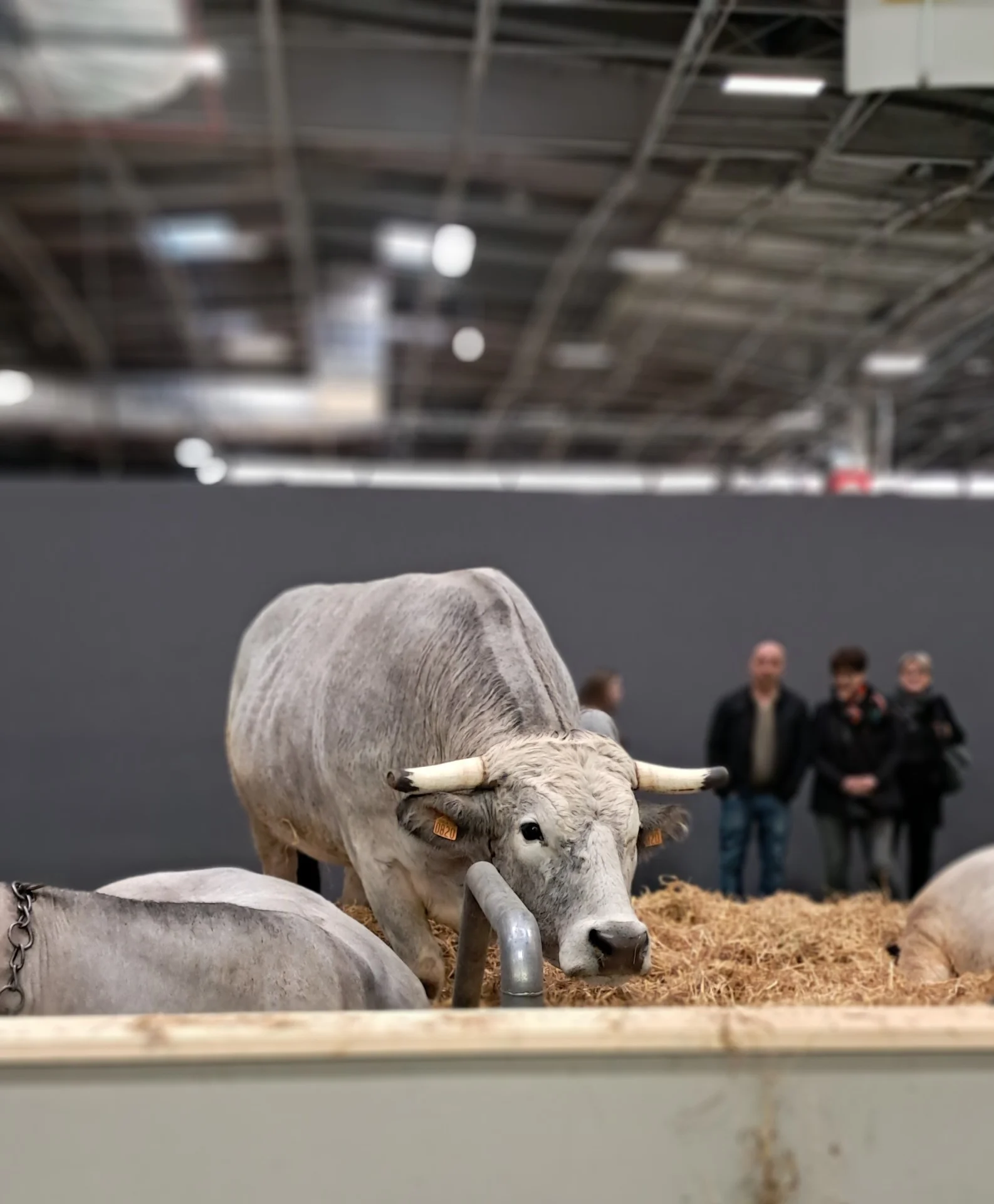 Salon de l'agriculture PARIS