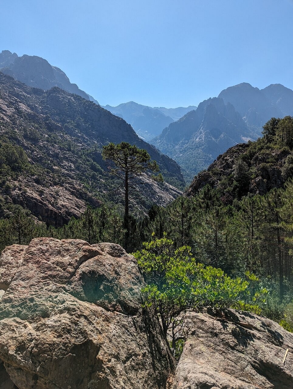 Séjour en Corse